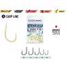 Colmic NUCLEAR DK800 GOLD #10
