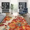  Conceptum Hypnose Carpet (60 x 100) Orange Kece-Fr93