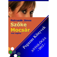CONTENT 2 CONNECT Szõke Mocsár egyéb e-könyv
