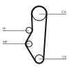 CONTINENTAL CTAM Fogasszíj CT525