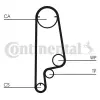 CONTINENTAL CTAM Fogasszíj CT799