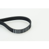CONTINENTAL CTAM hosszbordás szíj CONTINENTAL CTAM 6PK1270