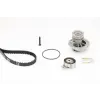 CONTINENTAL CTAM Vízpumpa + fogasszíj készlet CT874WP1