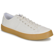 Converse Rövid szárú edzőcipők CHUCK TAYLOR ALL STAR Bézs 45