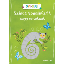 Corina Beurenmeister - Színes vonalhúzók nagy ovisoknak gyermek- és ifjúsági könyv