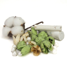 Corolla Exp-Imp. Kft Kincsgyűjtő terméscsomag menta dekorációs kellék