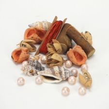 Corolla Exp-Imp. Kft Narancs mediterrán terméscsomag dekorációs kellék