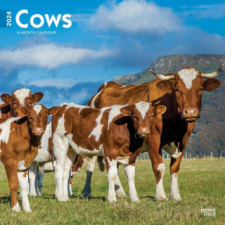  Cows 2024 Square naptár, kalendárium