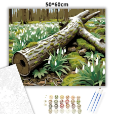 Creative Land Kft Csendes hóvirágmező - számfestő készlet – 50×60 cm (Keretre feszítve) kreatív és készségfejlesztő