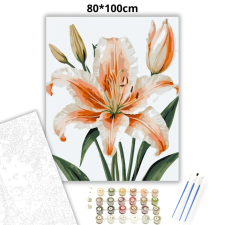 Creative Land Kft Elegáns barack liliom - számfestő készlet – 80×100 cm (Keret nélkül) kreatív és készségfejlesztő