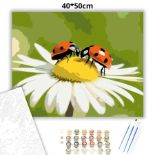 Creative Land Kft Katica találkozó - számfestő készlet – 40×50 cm (Keretre feszítve) kreatív és készségfejlesztő