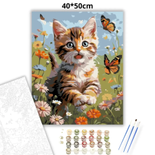 Creative Land Kft Kíváncsi pillangóvadász - számfestő készlet kreatív és készségfejlesztő