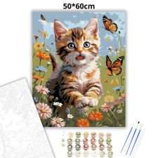 Creative Land Kft Kíváncsi pillangóvadász - számfestő készlet – 50×60 cm (Keretre feszítve) kreatív és készségfejlesztő