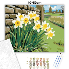 Creative Land Kft Nárciszok a kőfalnál - számfestő készlet – 40×50 cm (Keretre feszítve) kreatív és készségfejlesztő