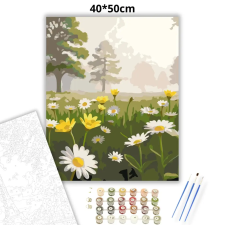 Creative Land Kft Párás vadvirágos rét - számfestő készlet – 40×50 cm (Keretre feszítve) kreatív és készségfejlesztő