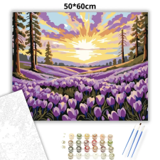 Creative Land Kft Pirkadati krókusztenger - számfestő készlet – 50×60 cm (Keretre feszítve) kreatív és készségfejlesztő
