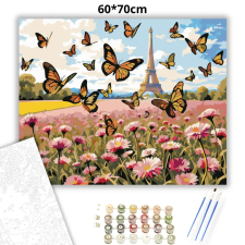 Creative Land Kft Romantikus pillangótánc - számfestő készlet – 60×70 cm (Keretre feszítve) kreatív és készségfejlesztő