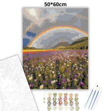 Creative Land Kft Szivárványos vadvirágmező - számfestő készlet – 50×60 cm (Keretre feszítve) kreatív és készségfejlesztő