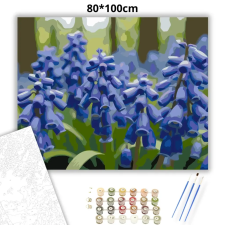 Creative Land Kft Tavaszi gyöngyikék - számfestő készlet – 80×100 cm (Keret nélkül) kreatív és készségfejlesztő