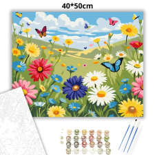 Creative Land Kft Tavaszi pillangók - számfestő készlet kreatív és készségfejlesztő