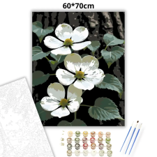 Creative Land Kft Tavaszi somvirágzás - számfestő készlet – 60×70 cm (Keretre feszítve) kreatív és készségfejlesztő