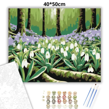Creative Land Kft Üde hóvirágos tisztás - számfestő készlet – 40×50 cm (Keretre feszítve) kreatív és készségfejlesztő