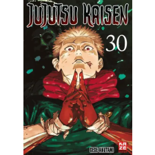 Crunchyroll Manga Jujutsu Kaisen - Band 30 (Finale) | Gege Akutami,Costa Caspary egyéb könyv