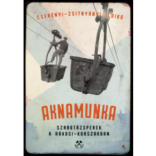Cserényi-Zsitnyányi Ildikó CSERÉNYI- ZSITNYÁNYI ILDIKÓ - AKNAMUNKA történelem