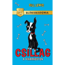  Csillag a viharhegyen /Blökiakadémia regény