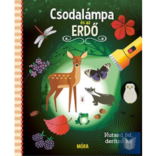  Csodalámpa és az ERDŐ gyermek- és ifjúsági könyv