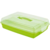 Curver 00415-062-00 Parti kínáló négyszögletes átlátszó-lime