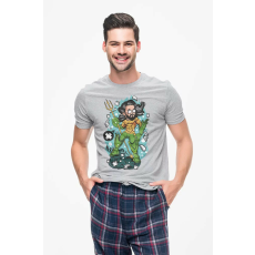  D&B Férfi Unisex Póló PC00002 Aquaman Szürke-Méret S