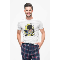  D&B Férfi Unisex Póló PC00004 Batman Fehér-Méret L