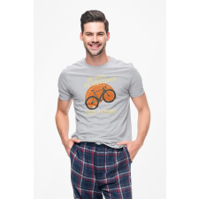  D&amp;B Férfi/Unisex Póló ST00048 Free Parking Szürke-Méret 3XL férfi póló