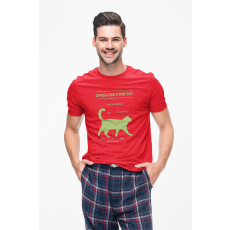  D&B Férfi/Unisex Póló ST00051 Útmutató Piros-Méret 2XL