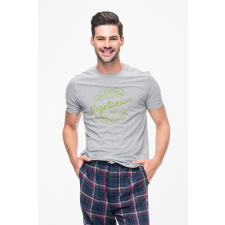 D&B Férfi/Unisex Póló ST00157 Vegetarian Szürke-Méret 5XL férfi póló