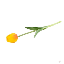 D&D Selyemvirág tulipán szálas gumi 44cm sárga dekorációs kellék