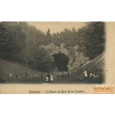 D.V.D. Bruxelles - Le Ravin du Bois de la Cambre képeslap