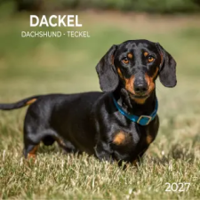  Dackel / Dachshund 2027 (Naptár/Határidőnapló) naptár, kalendárium
