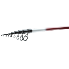  Daiwa Ninja X Bolo 6,00m -25g bolognai bot (11628-600) horgászbot