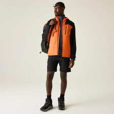 Dare2be Mountaineer Jkt Férfi softshell 15000 mm színes férfi kabát, dzseki