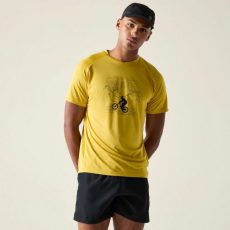 Dare2be Tech II Tee Férfi gyorsan száradó póló színes