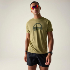 Dare2be Tech II Tee Férfi gyorsan száradó póló színes