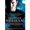  Dark Storm – Christine Feehan