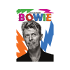  David Bowie - 2025 Calendar - A3-as naptár
