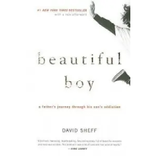 David Sheff Beautiful Boy – David Sheff idegen nyelvű könyv