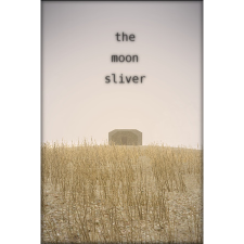 David Szymanski The Moon Sliver (PC - Steam elektronikus játék licensz) videójáték