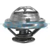 Dayco termosztát, hűtőfolyadék DT1034V
