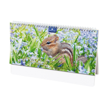 DAYLINER Asztali naptár fehér lapokkal 320 × 150 mm Természet világa álló Dayliner 2024. naptár, kalendárium