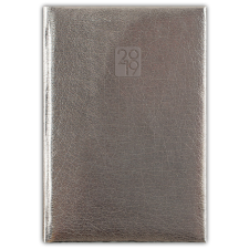 DAYLINER Mirror, A5 napi beosztású agenda, Ezüst határidőnapló